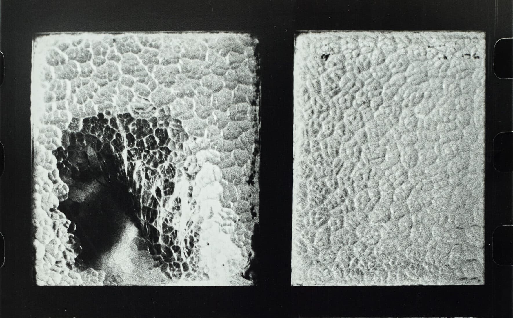 The Joyce Evans Collection of Australian Photography