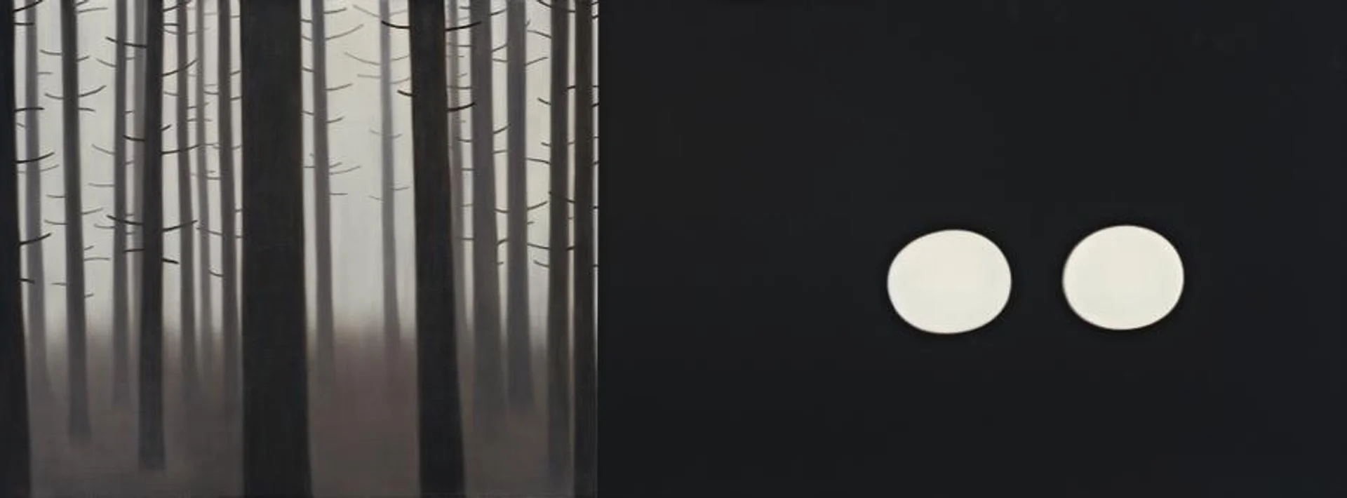 FOREST AND LIGHTS – SPLIT