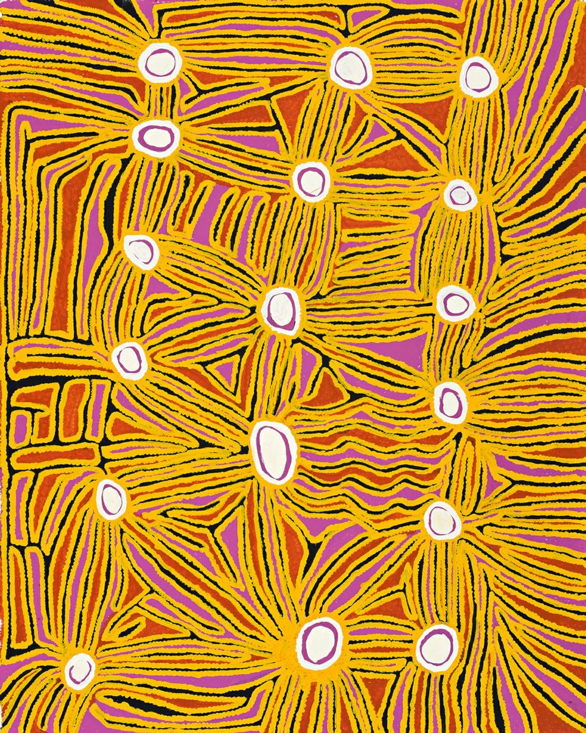 PORCUPINE DREAMING