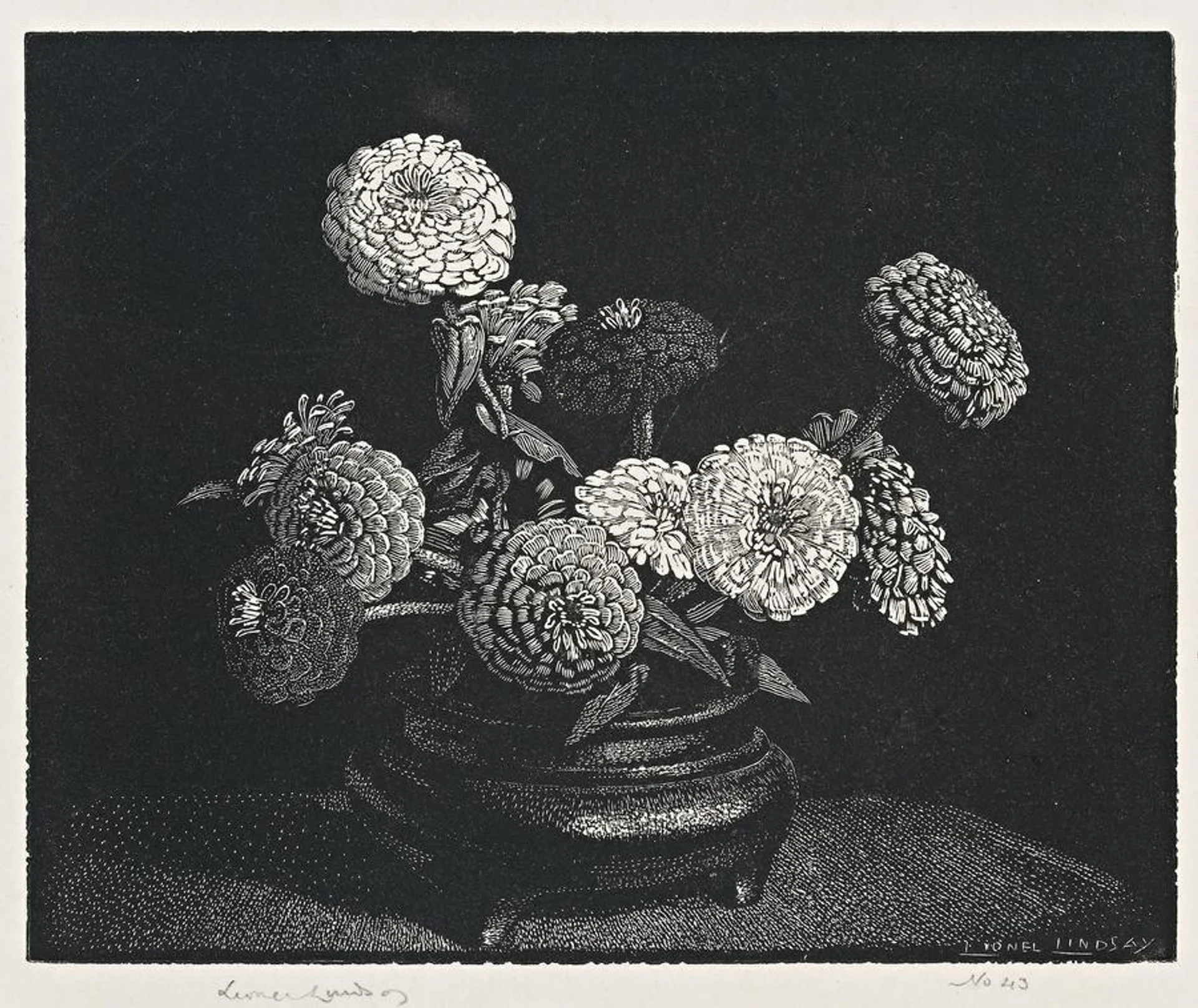 ZINNIAS