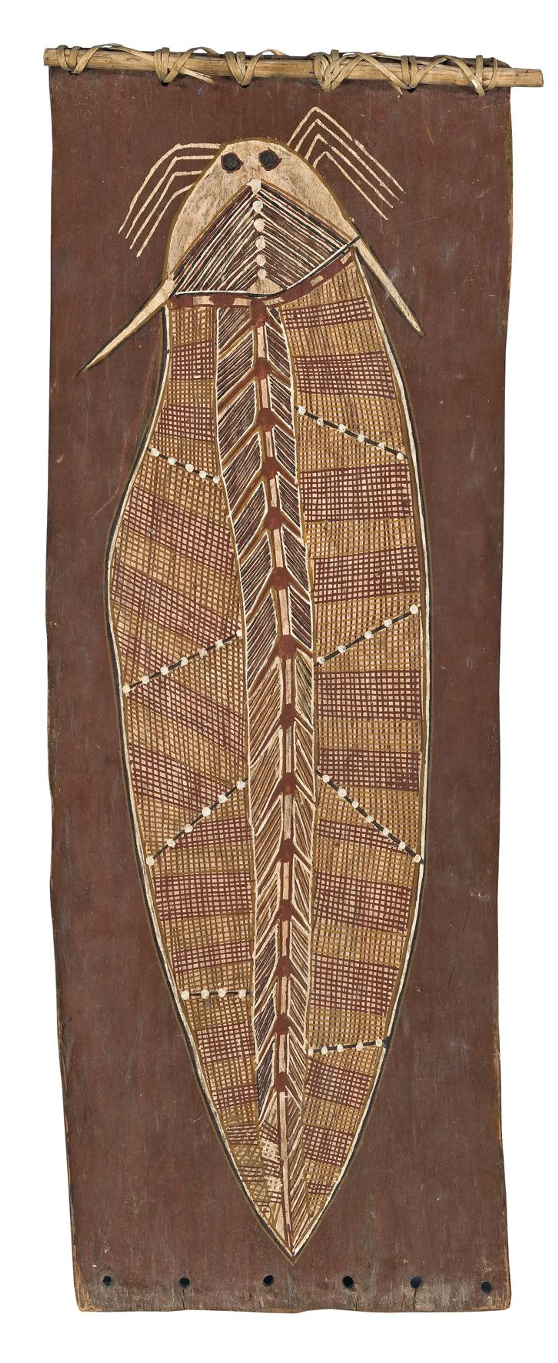 UNTITLED (LUNG FISH)