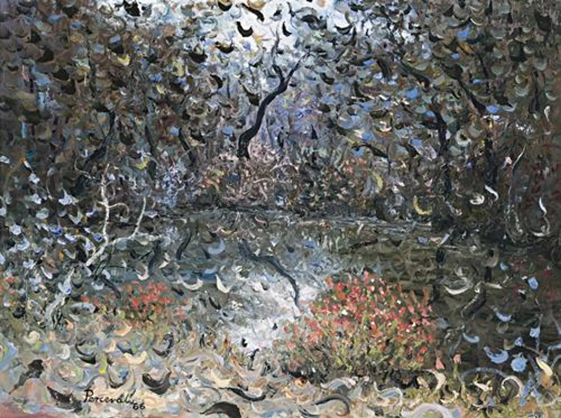 FOREST POND, CANBERRA