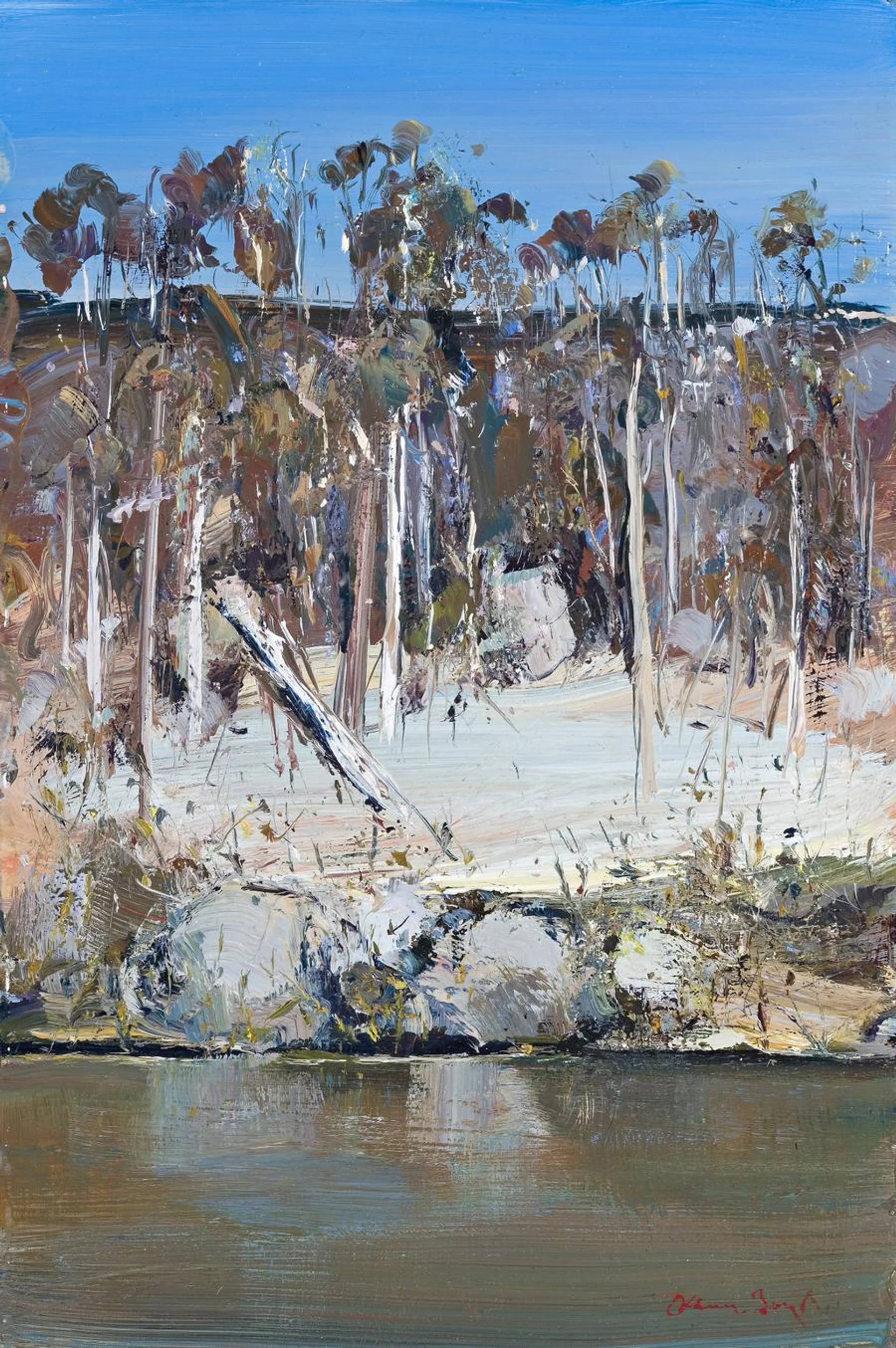 SHOALHAVEN RIVERBANK