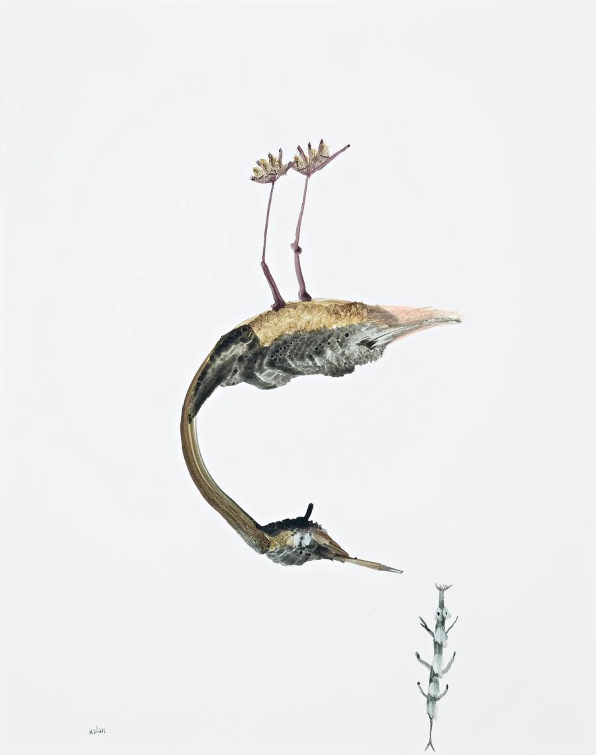 UPSIDE DOWN BIRD AND INSECT