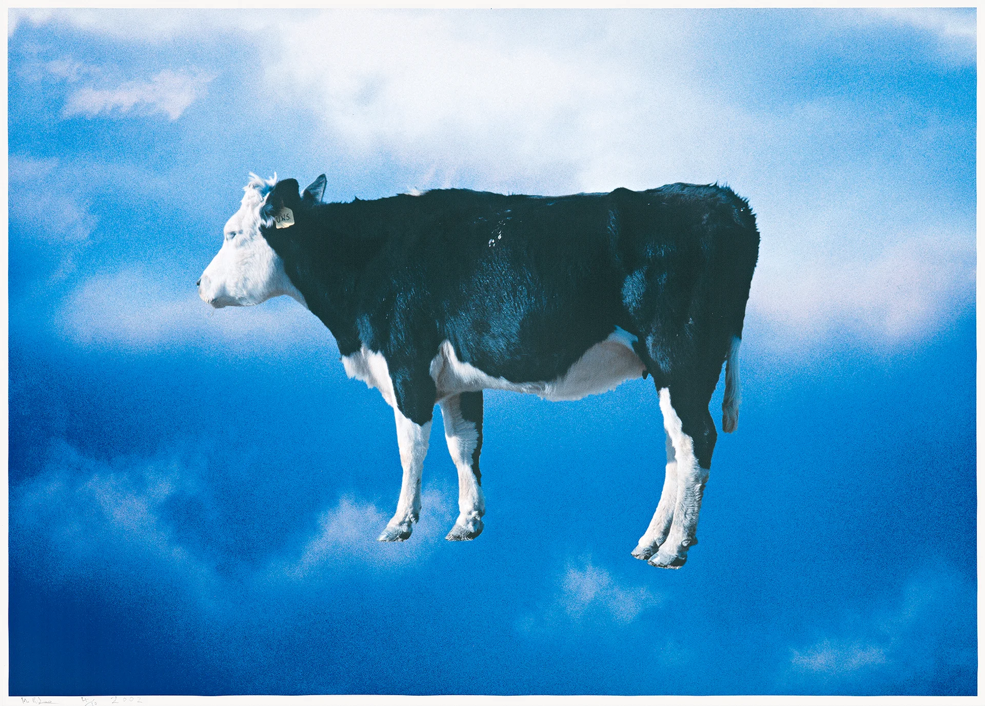 UNTITLED (COW), 2000, (CLOUD SERIES) , printed