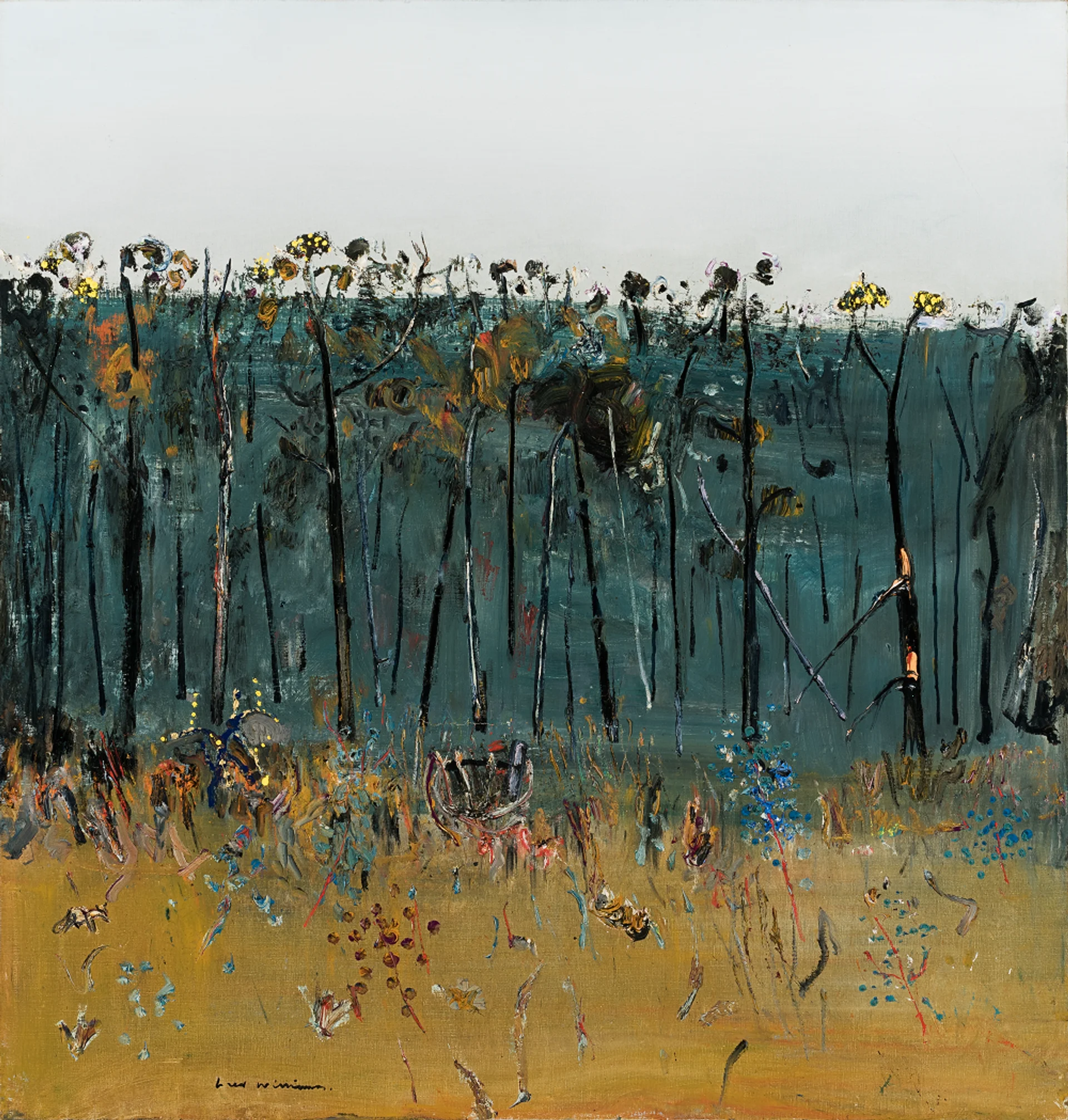ACACIA SAPLINGS