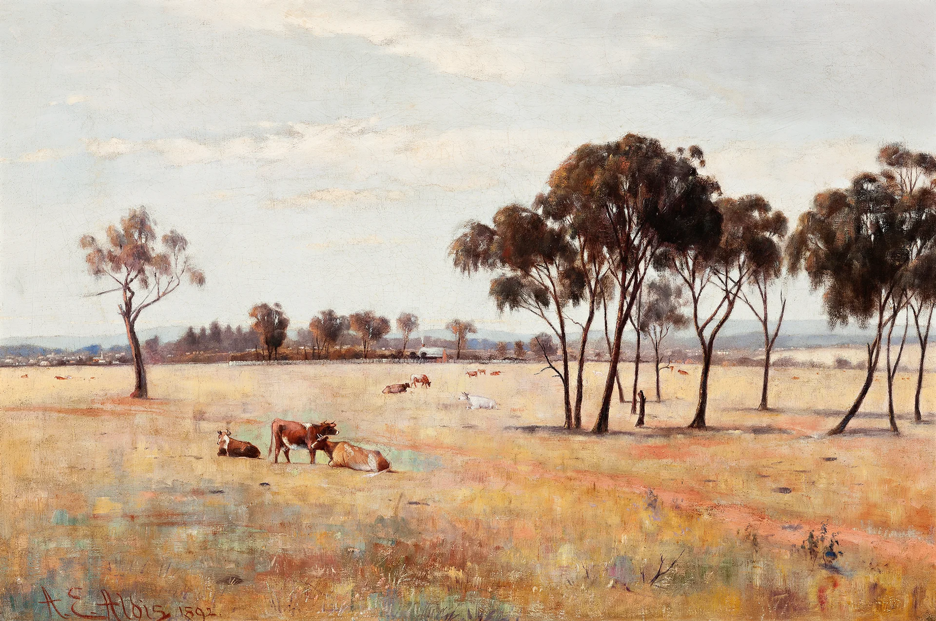 ROYAL PARK, MELBOURNE – SUMMER