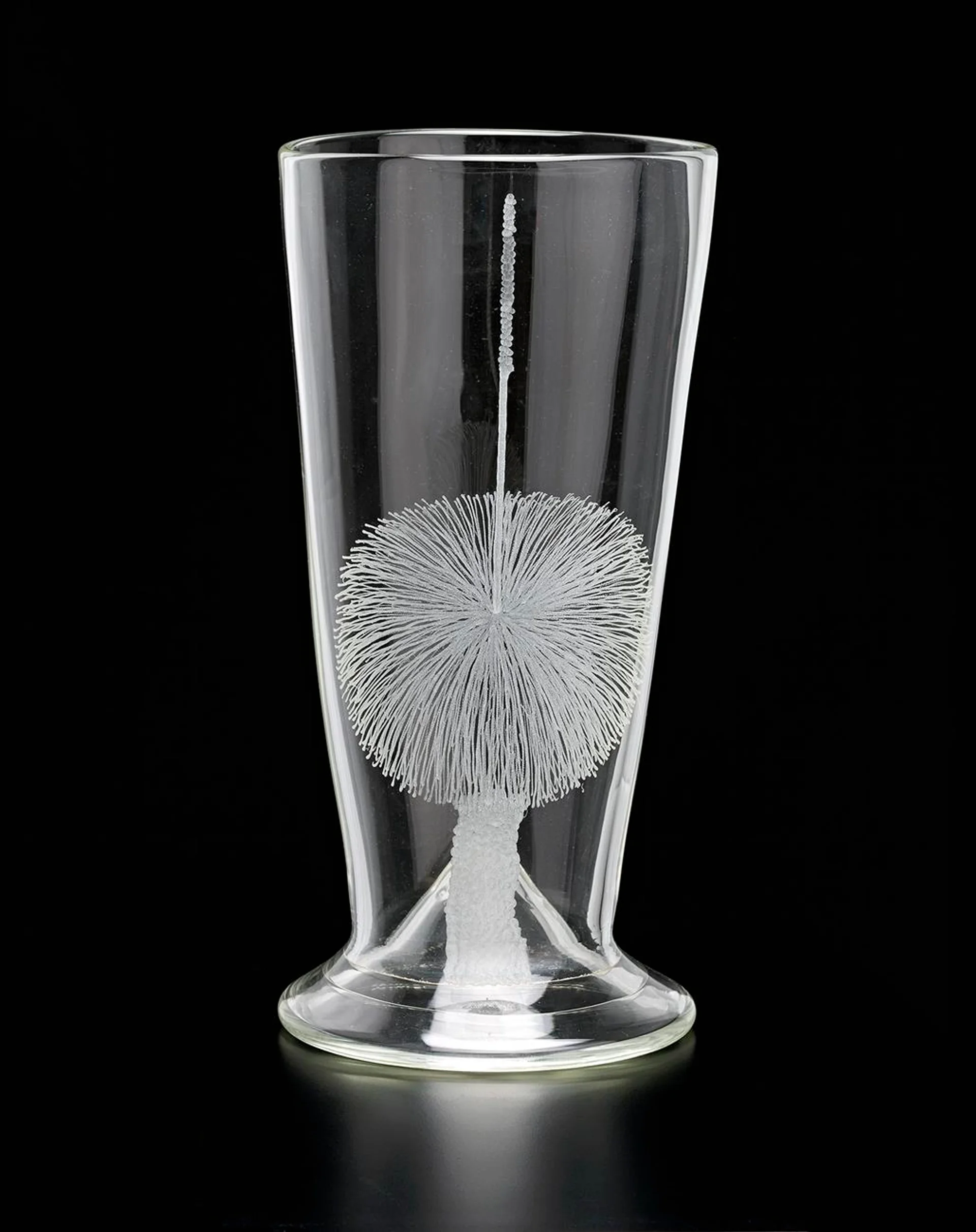 BLACKBOY VASE