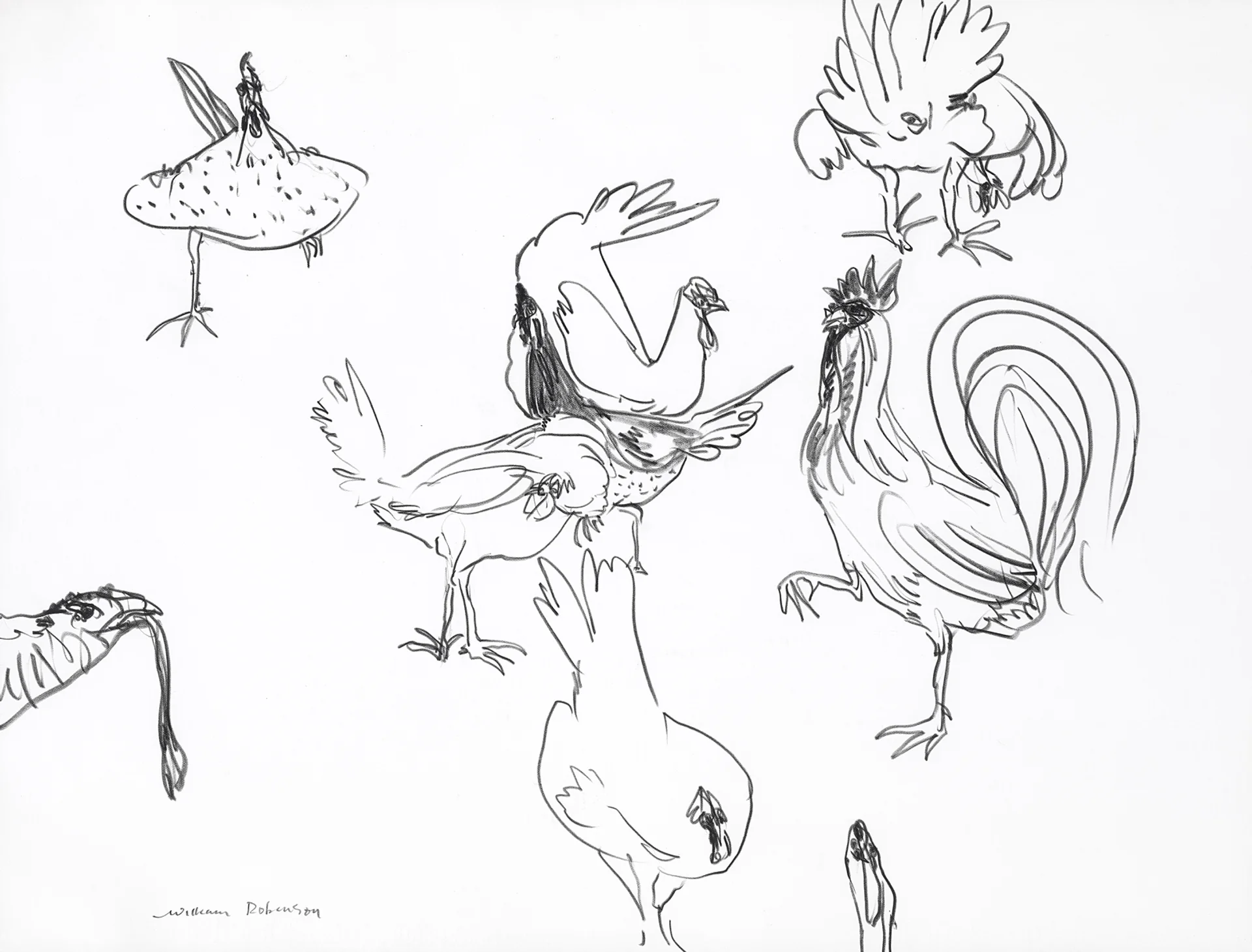 CHOOKS