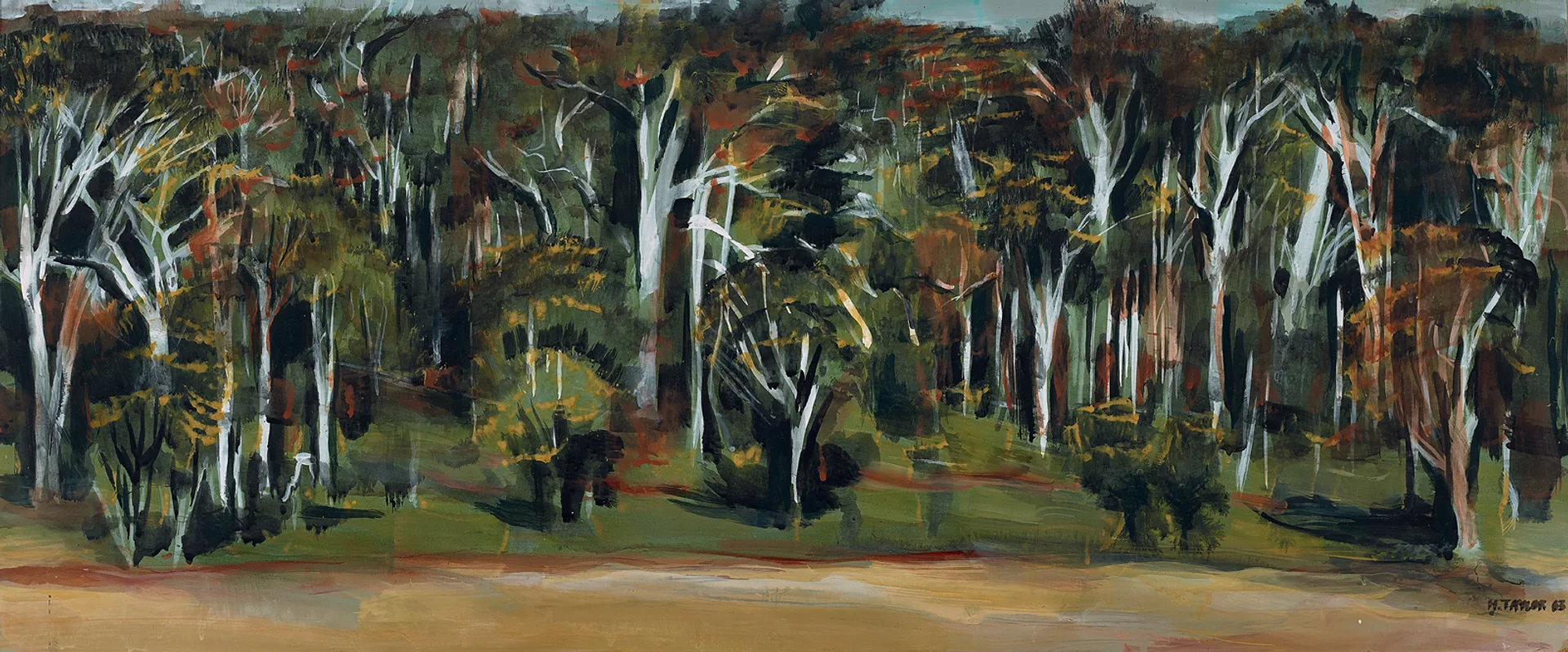 KARRI FOREST
