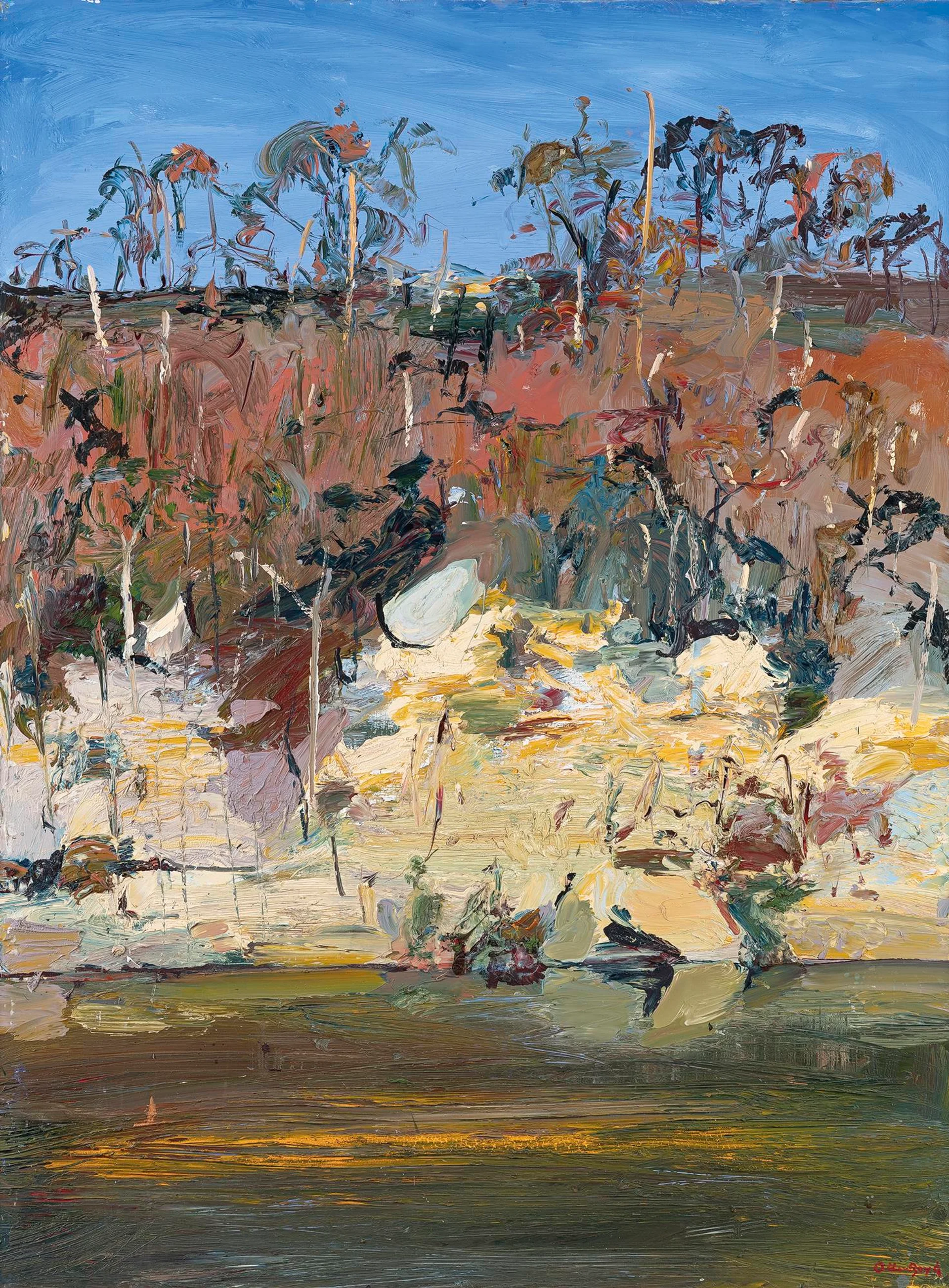 SHOALHAVEN RIVERBANK