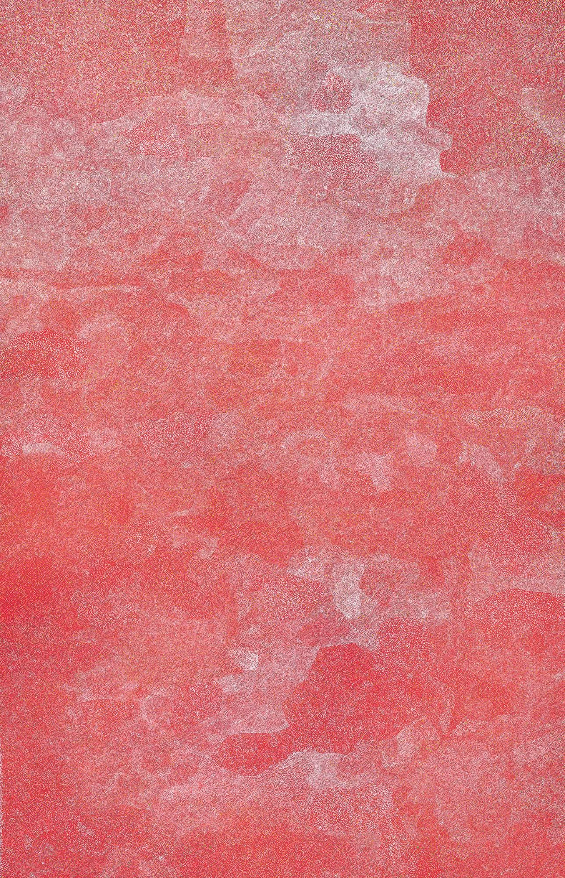 BUSH PLUM
