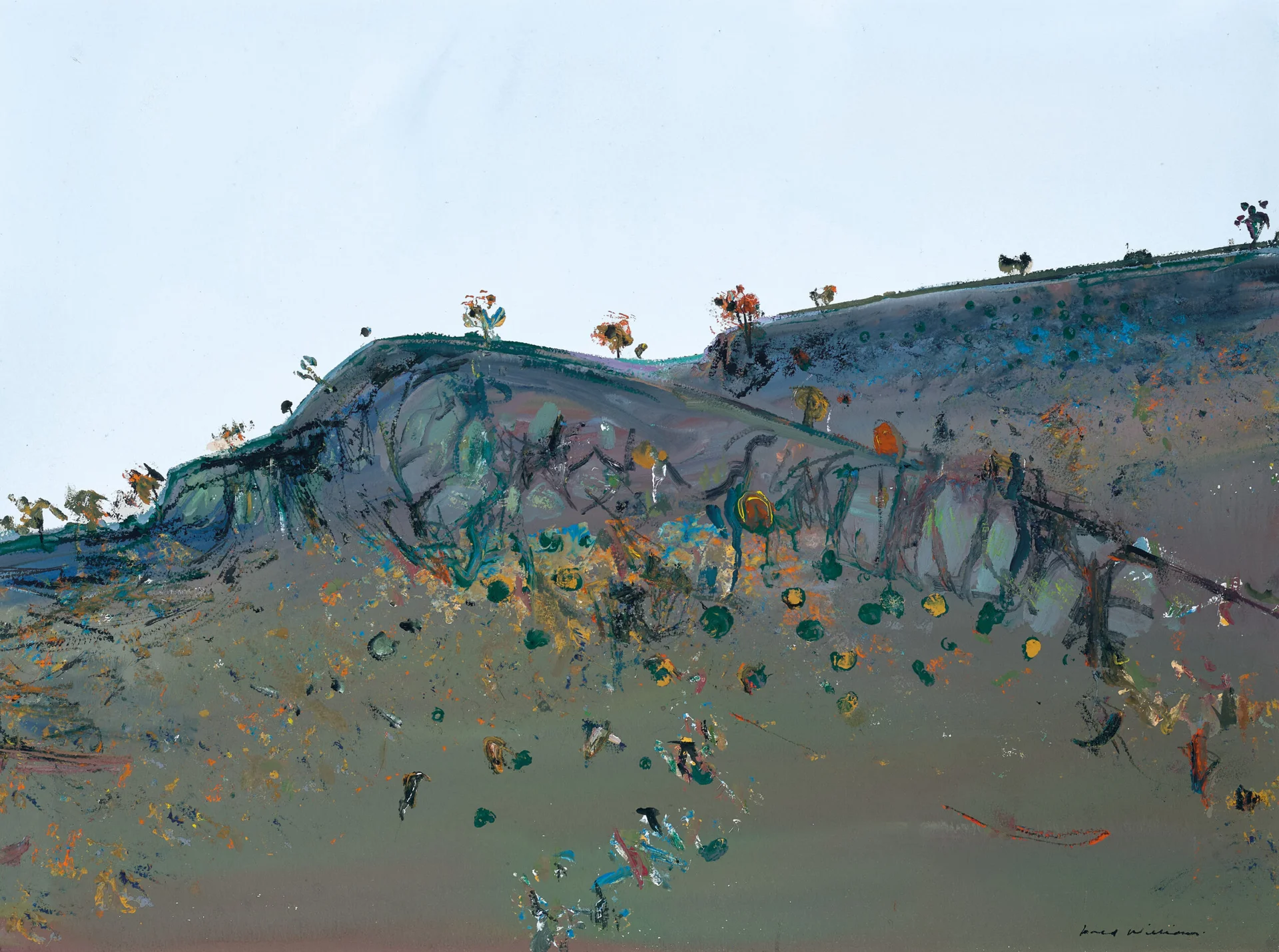HILLSIDE LANDSCAPE, CAVAN III